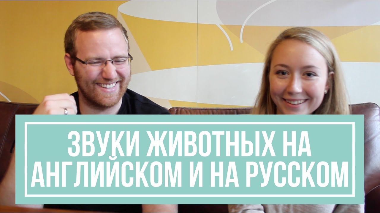 Звуки животных на русском и на английском!