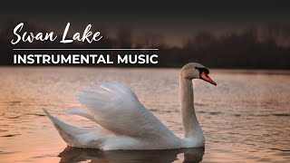 Swan Lake - Instrumental Music by Tolegen Mukhamejanov. Relaxing Classical Music