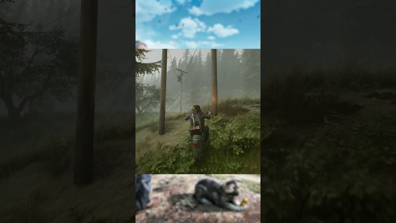 Days Gone Why Wont The Bike Move