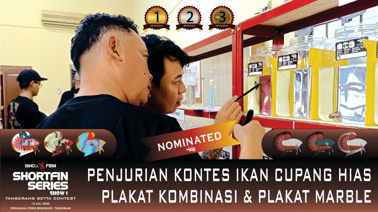 PENJURIAN KONTES IKAN CUPANG HIAS KELAS PLAKAT KOMBINASI & PLAKAT MARBLE (NOMINATED)