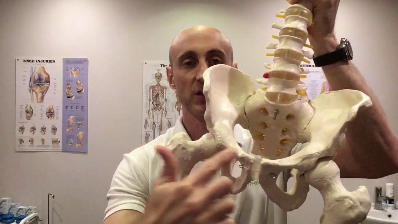 physiotherapy exercises Low back and pelvic girdle pain in pregnancy