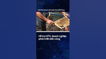 Hỗ trợ HTX, doanh nghiệp phát triển bền vững