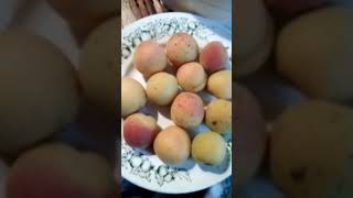 Курага из абрикоса в домашних условиях