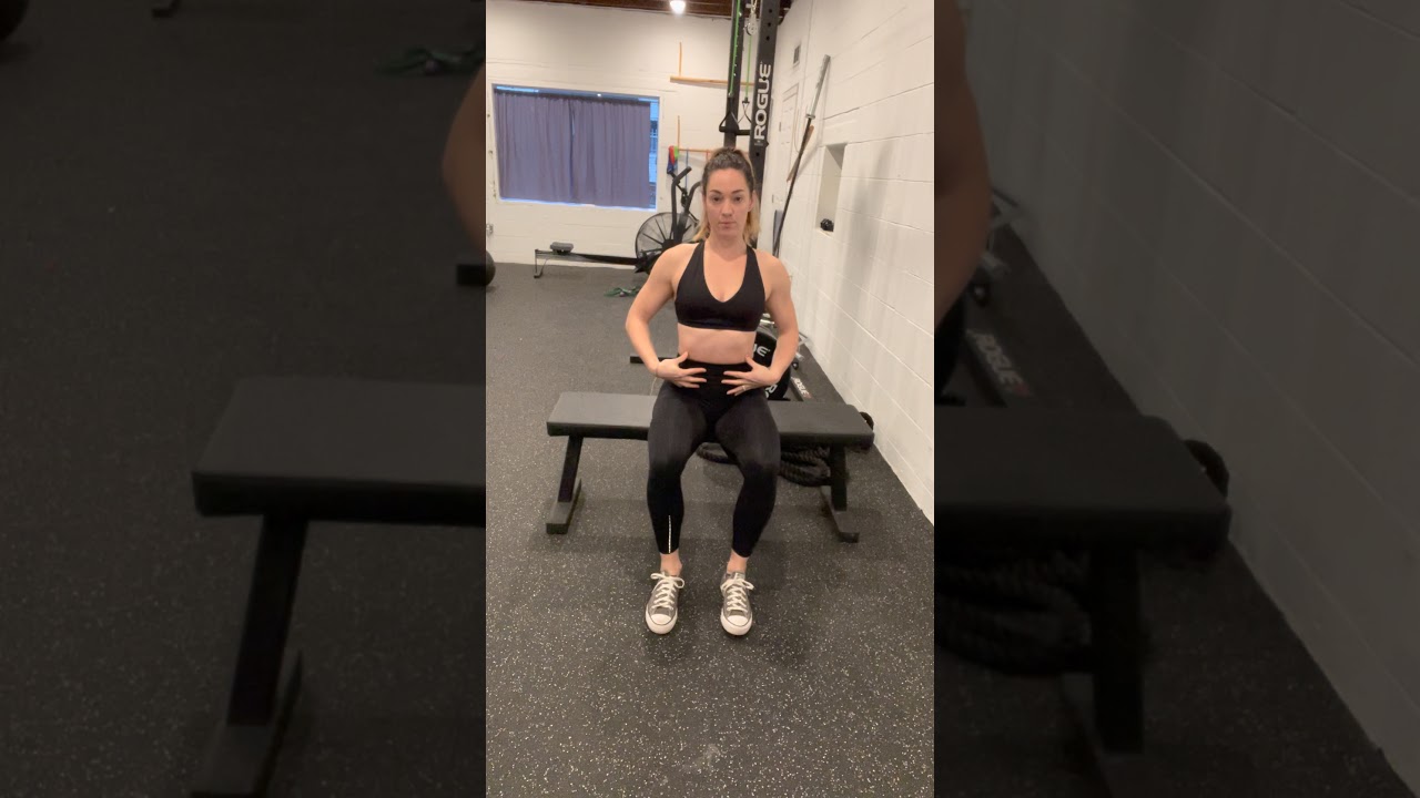 Seated Knee Raises
