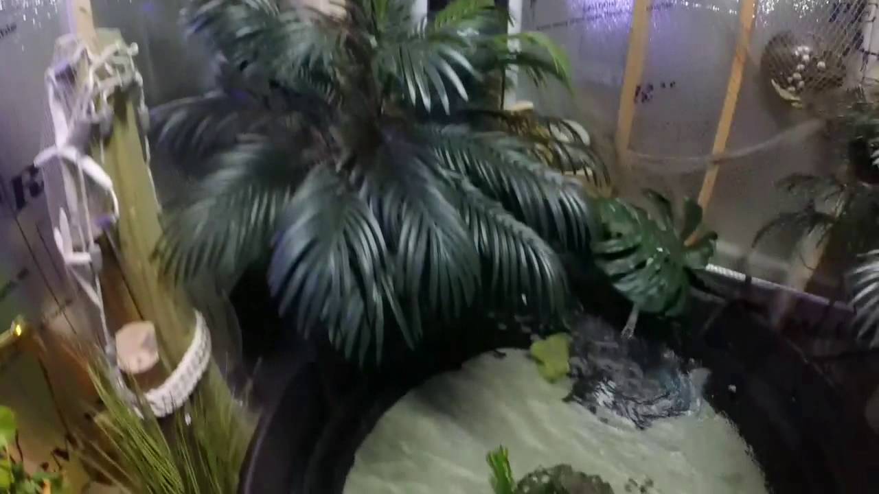 keeper security Reptile room on a budget / The Lagoon Room