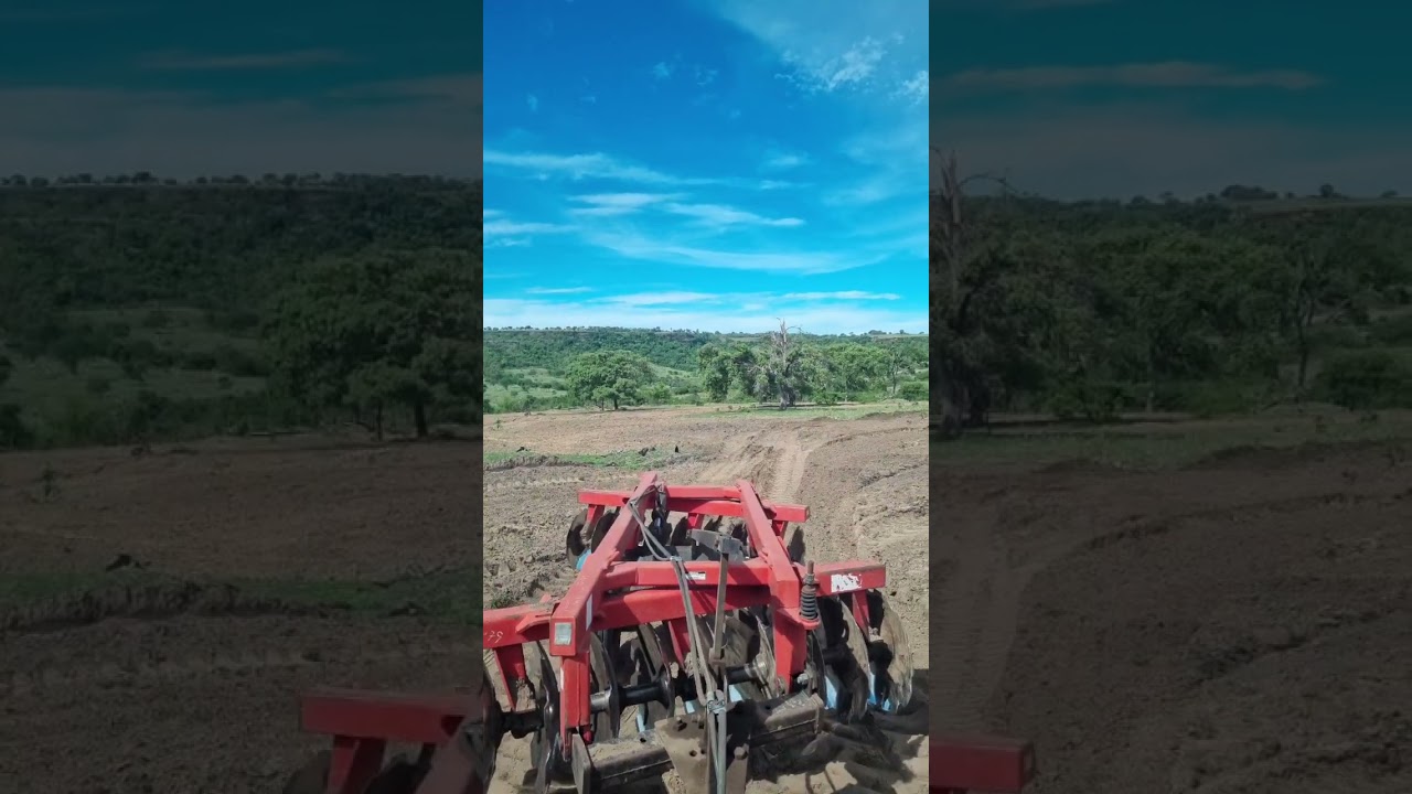 BRAZIL Live - Relaxing Tractor Work 🚜🌾 | Peaceful Farm Live | No Talking,  (Part 5/5)