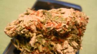 OG Kush close-ups (nugporn) HD