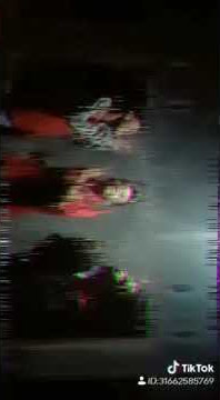 Tik Tok Mulus Bagai kuda tak berbulu lebat