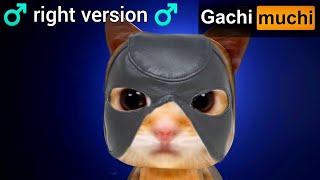 El Gato Meow Meow different versions