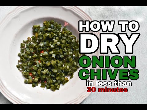 How to Dry Onion Chives in less than 20 minutes// Full HD