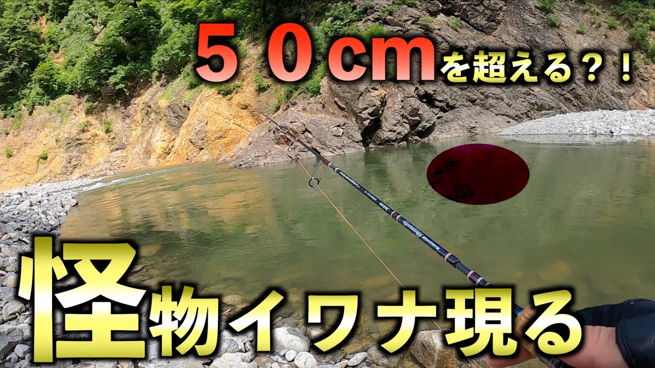 濁りの中にその怪物は潜んでいた...‼︎