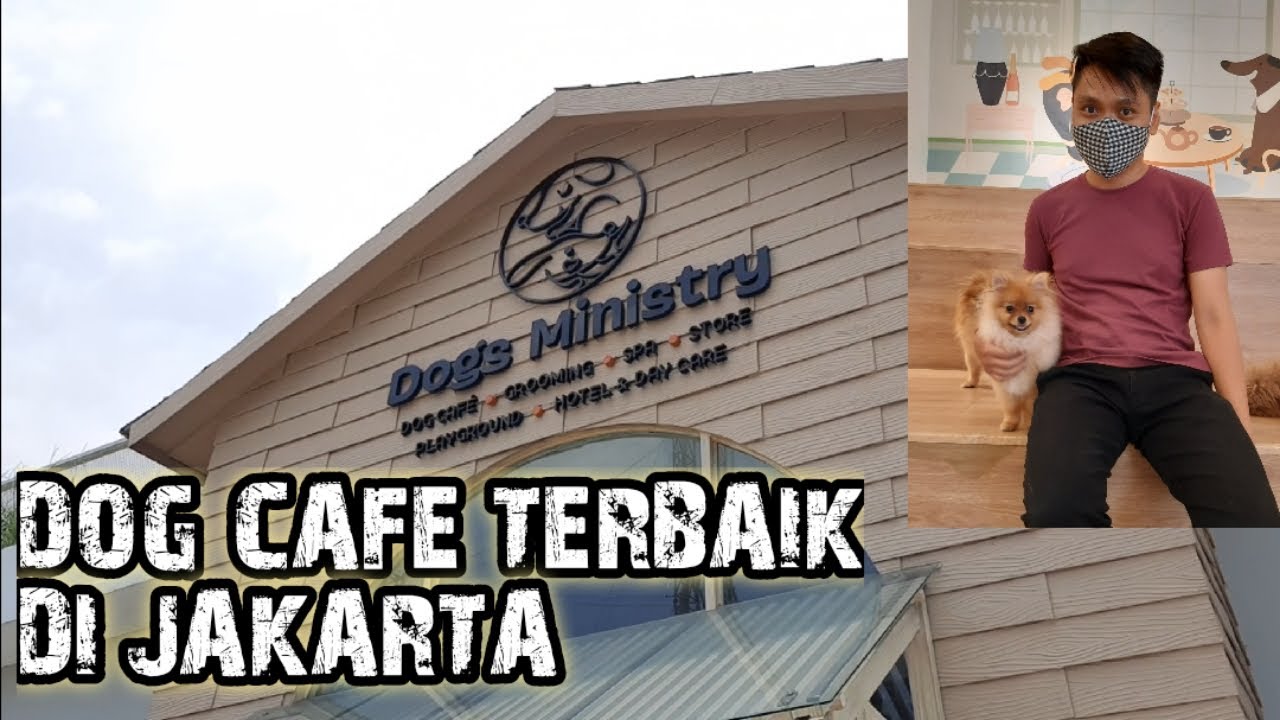 JALANJALAN KE DOGS MINISTRY DOGS CAFE JAKARTA 2020 YouTube