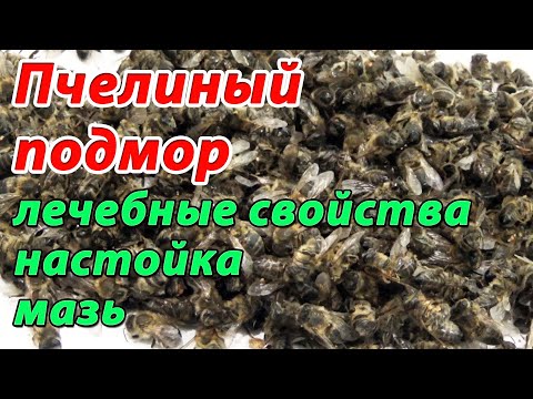 Пчелиный подмор. Настойка подмора. Мазь из подмора. Применение пчелиного подмора в народной медицине