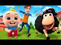 Baa Baa Black Sheep   Five Little Ducks and More Nursery Rhymes & Kids Songs | Little PIB Songs