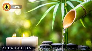 🔴 Relaxing Music 24/7, Healing Music, Meditation Music, Spa Music, Sleep, Zen, Study Music, Yoga screenshot 3