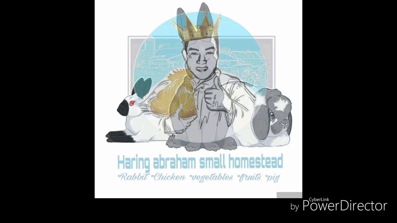 Haring abraham rabbitry in Philippines pag aalaga ng rabbit sa tag init