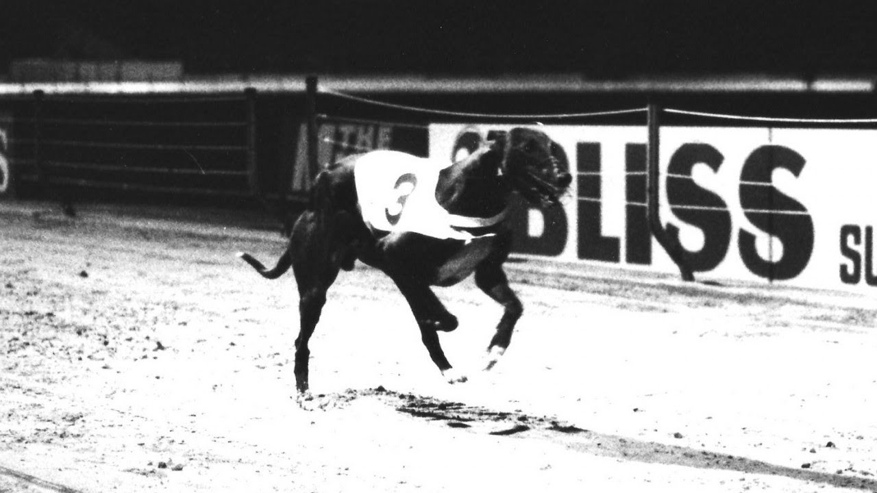 FROM LAST TO FIRST | Scurlogue Champ's Best Finishes