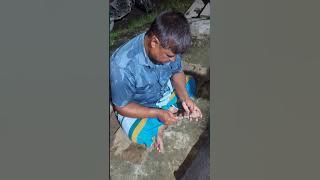 Bikin betah umpan turun langsung di hap #mancing #fishing #sedulurfishingreels #fishing #birdfish