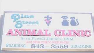 Welcome to  Pine Street Animal Clinic - Short | Cabot, AR