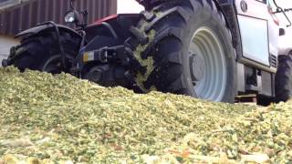 Ensilage 2014