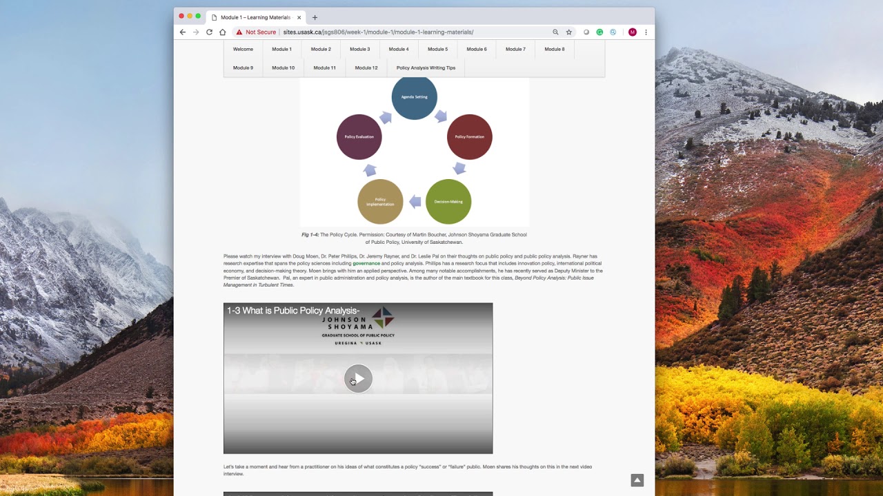 Policy Analysis Sample Video