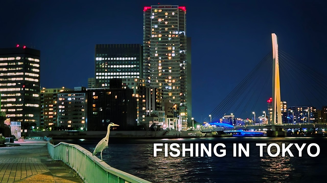 Fishing for Japanese Sea Bass in Tokyo, Early Winter of '25