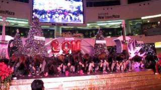 CPDC Count Down 2010