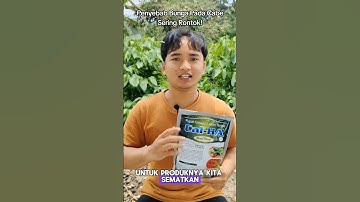 Alasan Bunga Cabe Sering Rontok! #pupuk #calha #mitramerdekatani #petanicabai #benihonline