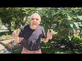 My Garden Tour