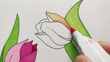 Spectrum Noir : Art Marker Techniques: Transitioning between two colours from different families