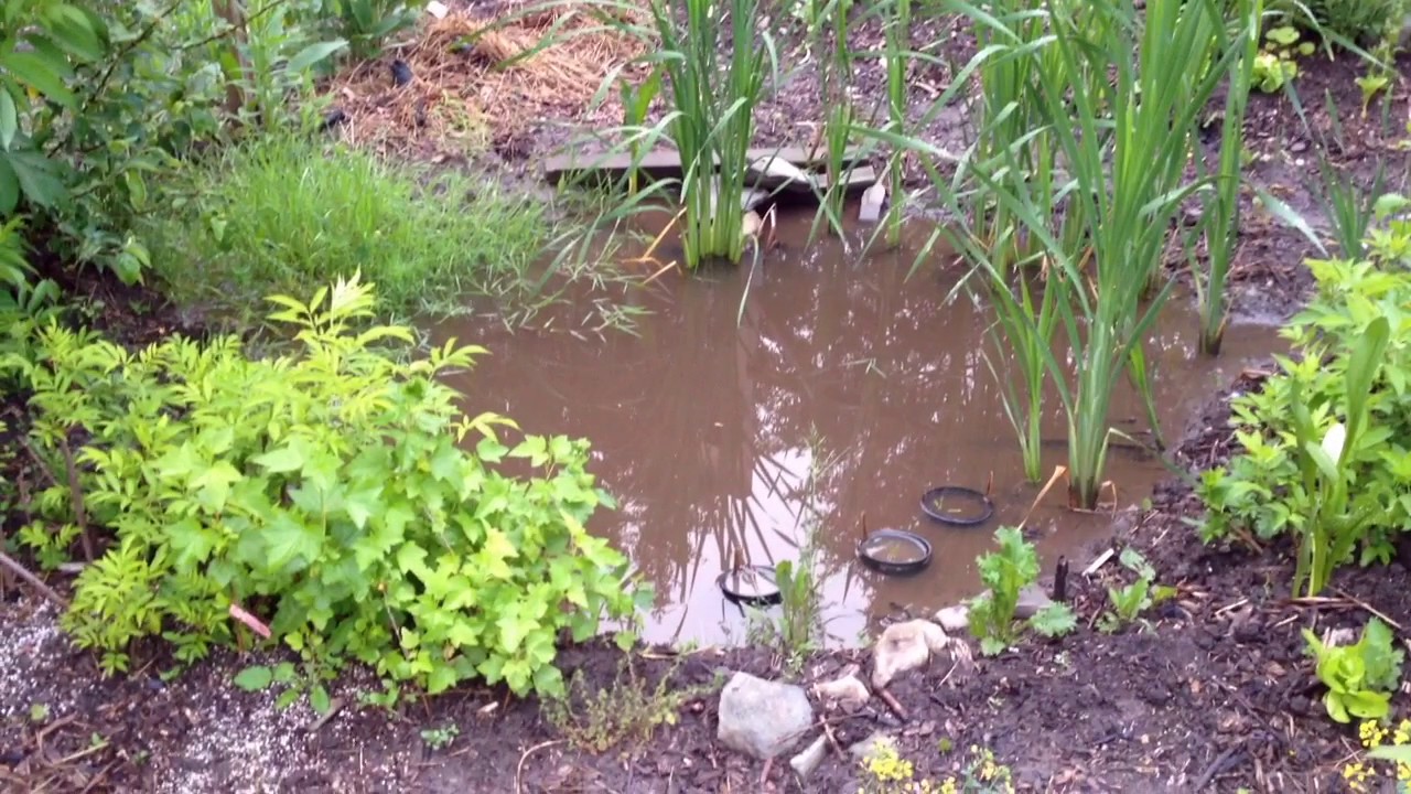 Spring Garden Tour 2017