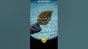 تلاوة رائعة للقارئ عبد الرحمن مسعد #قران_كريم #تلاوة_خاشعة #عبدالرحمن_مسعد #اسلام_صبحي