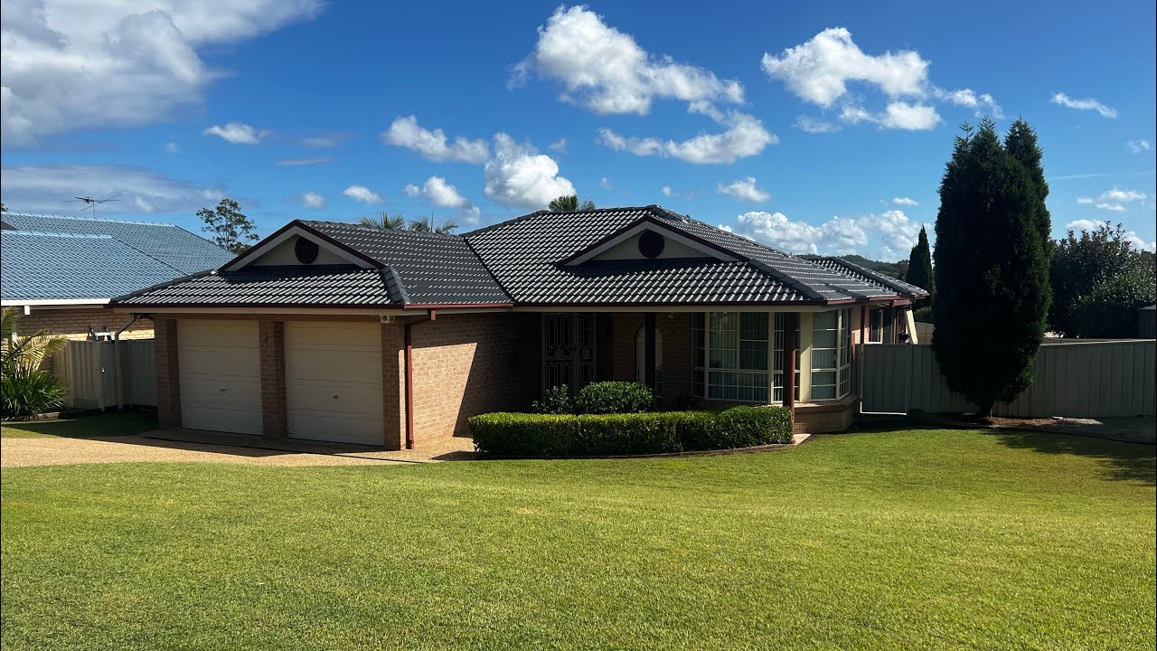 Now selling 4 Tree Fern close Aberglasslyn YouTube