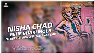 Nisha Chad Gehe Mola | Cg Holi Song | Dj Deepesh Abn x Dj Vinayak Kurud | Djwaala Records