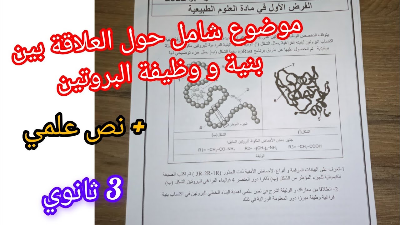 موضوع شامل حول العلاقة بين بنية و وظيفة البروتين للسنة 3 ثانوي+ نص علمي /بكالوريا