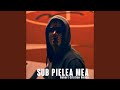 Sub pielea mea robert cristian remix