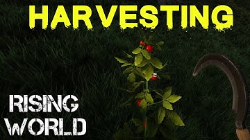 Rising World Unity  Ep2 - Shipwrecked : Harvesting Food