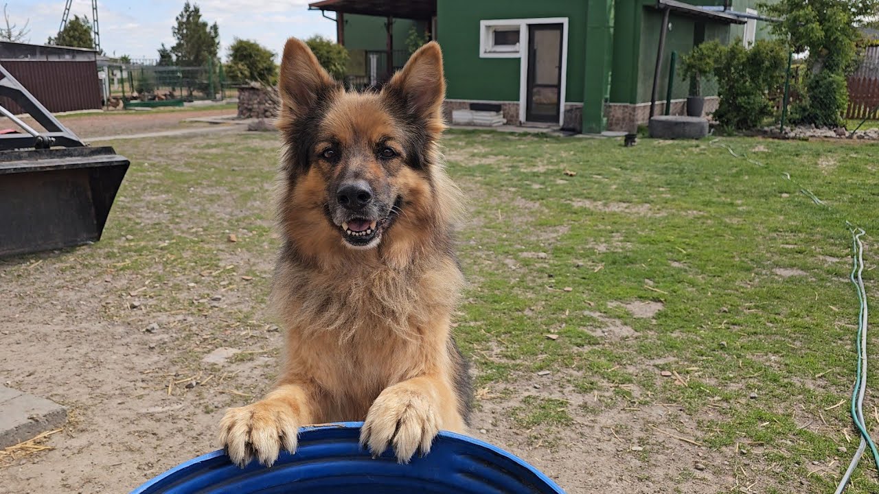 DOGADALIŚMY SIĘ Z KONIEM 🐴 Czy szczury nadal grasują na gospodarstwie?