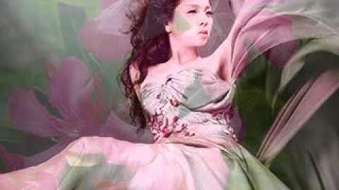 Ngon truc dao - le quyen -showvnn