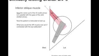 Clinical testing extraocular muscles tutorial