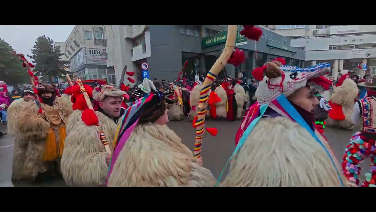 Ursii din Rotunda ✨❤️ 