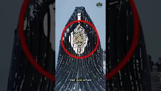 Barnacles on Ships: The *Costly* Stowaways No One Wants.               #documentary#usashorts#fyp