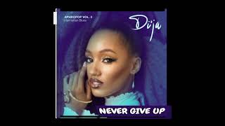 DI'JA _-_ Never Give Up  || AUDIO •• Notch Lyrics ••