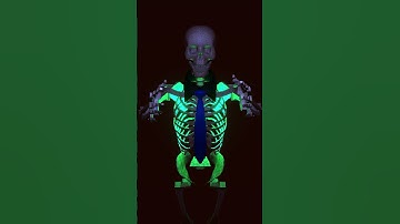 Nocturnal Skeleton #shorts #blender3d #blender #3danimation