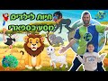 חיות לילדים לומדים ומכירים את החיות בסיור בספארי רמת גן חיות הספארי רפאל המטייל חיות לילדים לומדים ומכירים את החיות בסיור בספארי רמת גן חיות הספארי רפאל המטייל