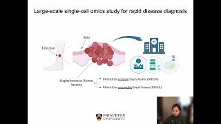 Integrate single cell multi-omics data to robustly... - Yuan Wang - GenCompBio - Poster - ISMB 2022