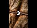 🧠 3 Tage – noch 3 Rätsel