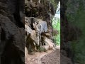 Hidden Jungle Gem 🌿 | Everyone Speaks English #jungle #hiddengems #tanzania #tanzanianyoutuber #vlog