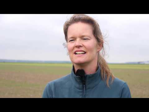 Kringlooplandbouw: Hoe kunnen we de natuur benutten in onze landbouw? | WUR