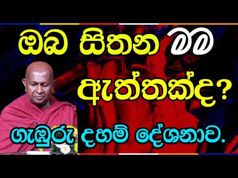 නාම රූප ධර්මයන්ගේ ක්‍රියාකාරීත්වය සහ භව චක්‍රය | පූජ්‍ය තපෝවනයේ අරියධජ හිමි 1022